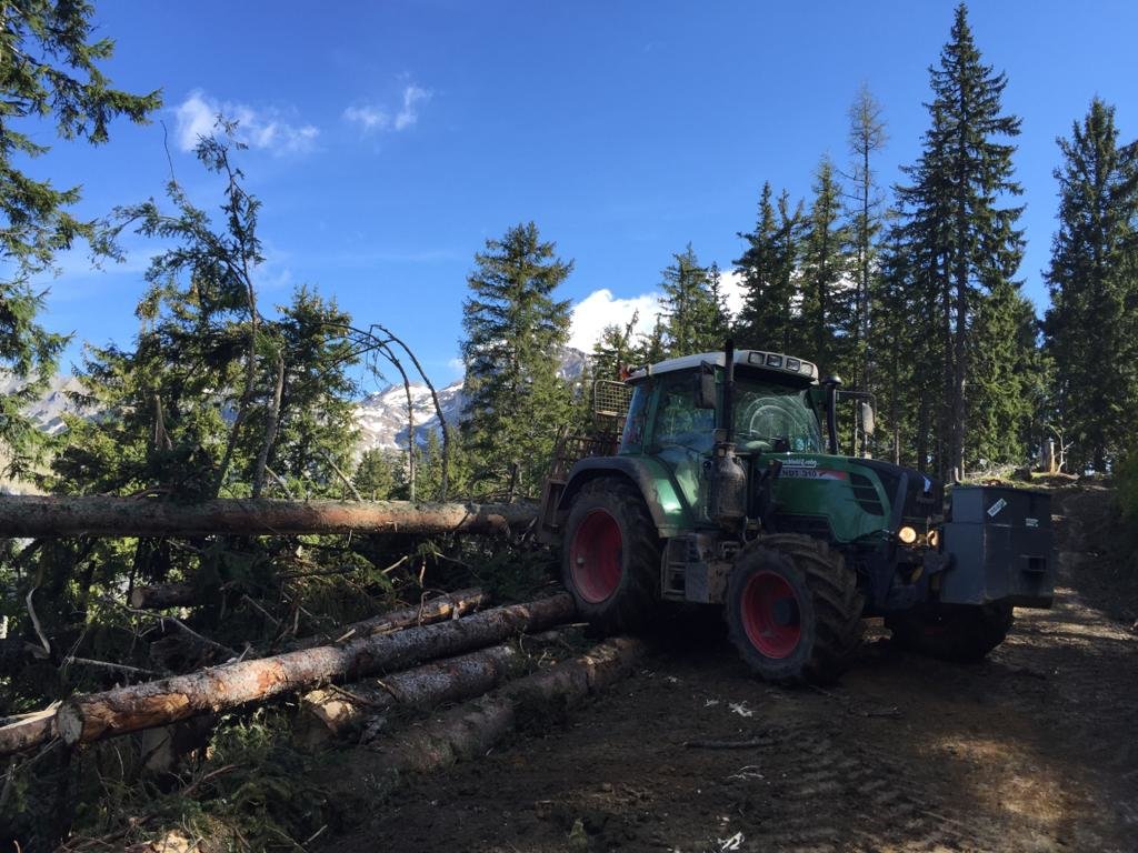 Holzschlägerung von Erdbau Tobias Taxacher